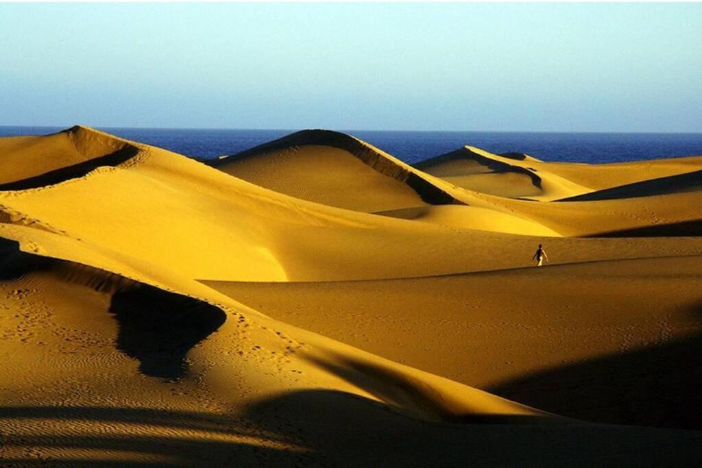 شقة Sunshine 435 بلايا ديل إنغلز المظهر الخارجي الصورة